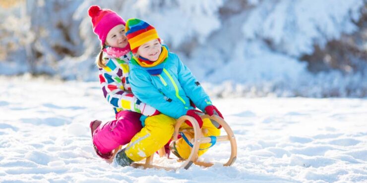 Top 8 Best Sleds For Toddlers Reviews In 2021