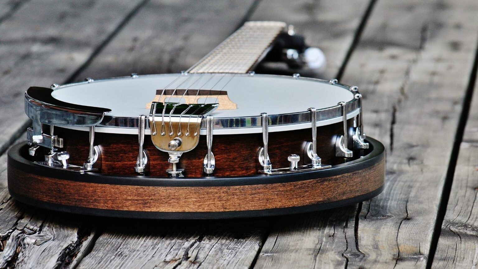 7 Best Banjo Toys For Kids 2024 Buying Guide And Reviews